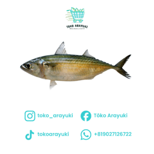 Ikan Kembung 2 Ekor
