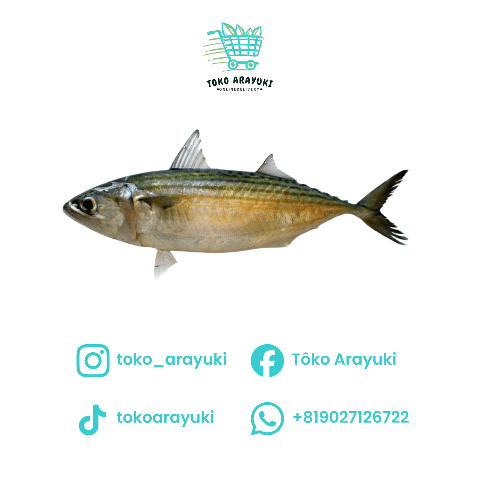 Ikan Kembung 2 Ekor