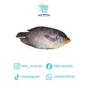 Ikan Gurame 2 Ekor